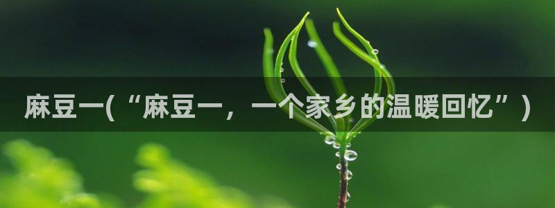 在线麻豆：麻豆一(“麻豆一，一个家乡的温暖回忆”)