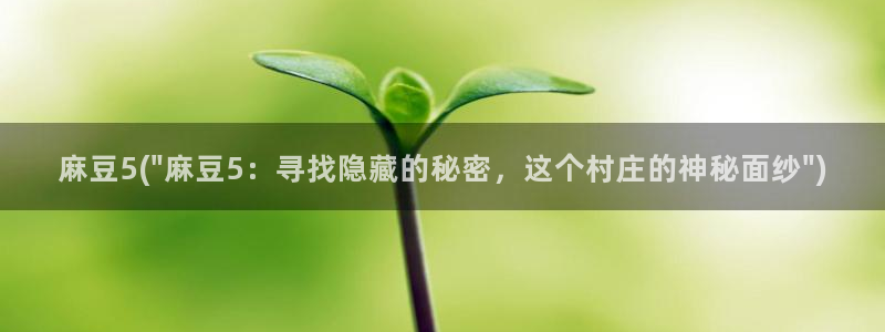 麻豆高清：麻豆5(\