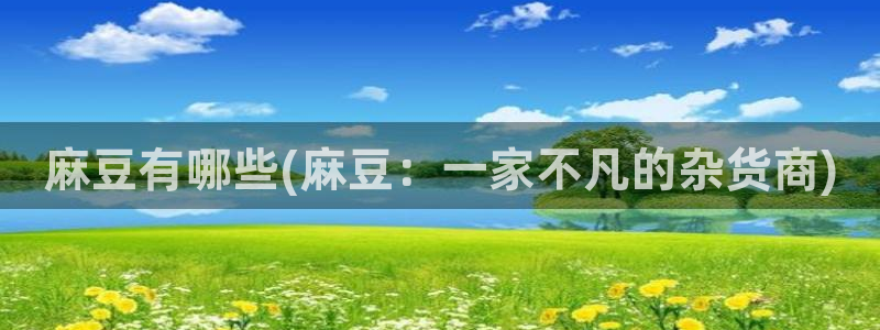 91麻豆国产专区在线观看：麻豆有哪些(麻豆：一家不凡的杂货商