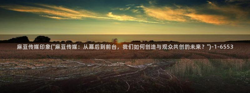 精品麻豆：麻豆传媒印象(\