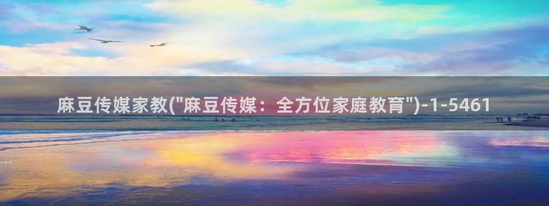 av麻豆专区：麻豆传媒家教(\