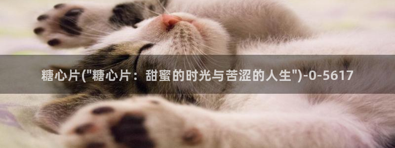 糖心vlog,在线观看