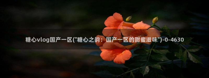 糖心短视频vlog怎么没了