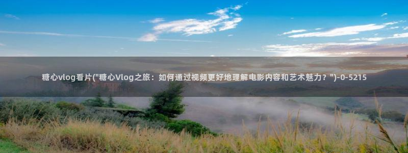糖心vlog是干什么的