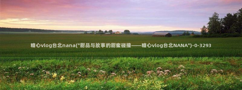 糖心vlog破译
