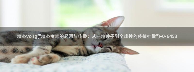糖心vlog日常