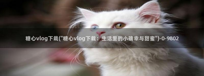 在线看糖心vlog传媒小桃在线
