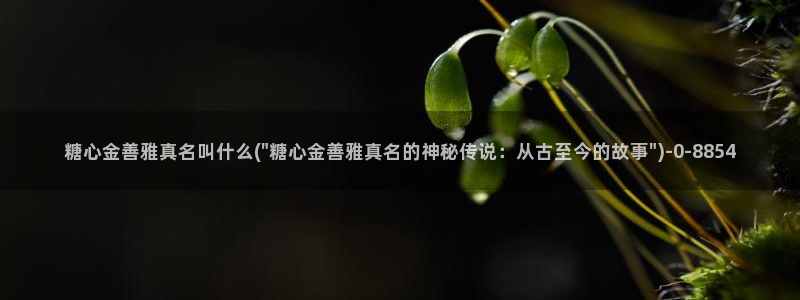 糖心vlog 百度网盘