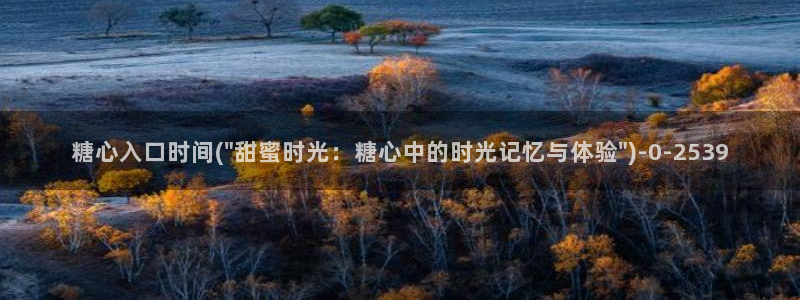 心糖vlog免费