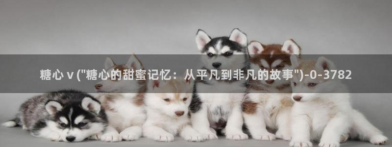 糖心vlog工作室
