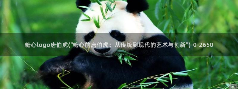 糖心vlog 多乙