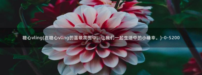 糖心vlog在哪下载