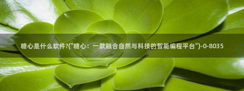 去糖心vlog